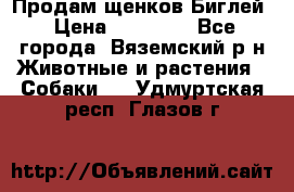 Продам щенков Биглей › Цена ­ 15 000 - Все города, Вяземский р-н Животные и растения » Собаки   . Удмуртская респ.,Глазов г.